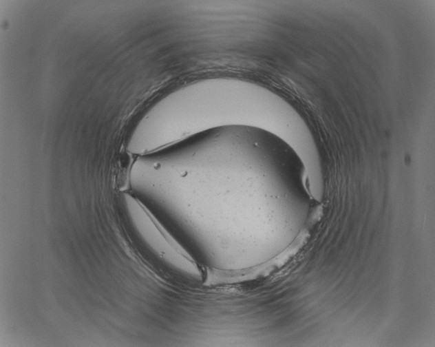 X0000061120456200512161443
