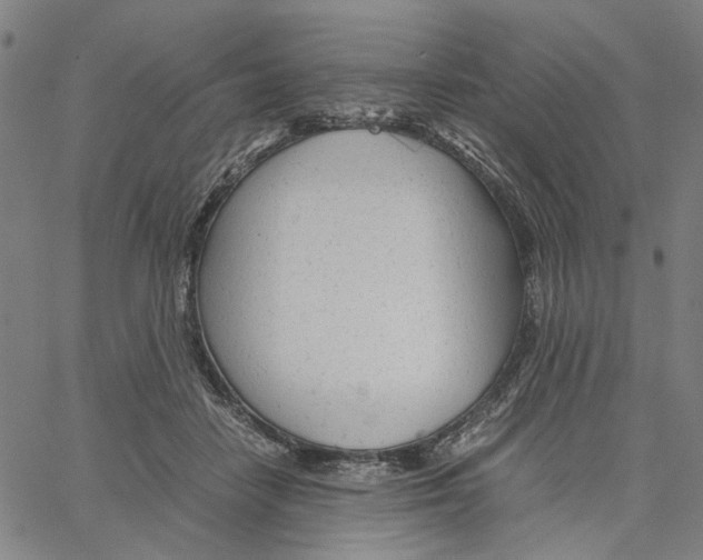 X0000061120458200512161443