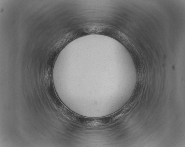 X0000061120460200512161443