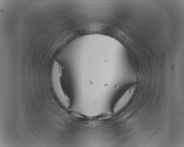 X0000061120462200512161443