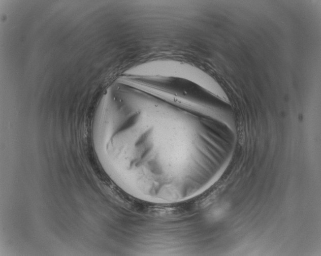 X0000061120472200512161444