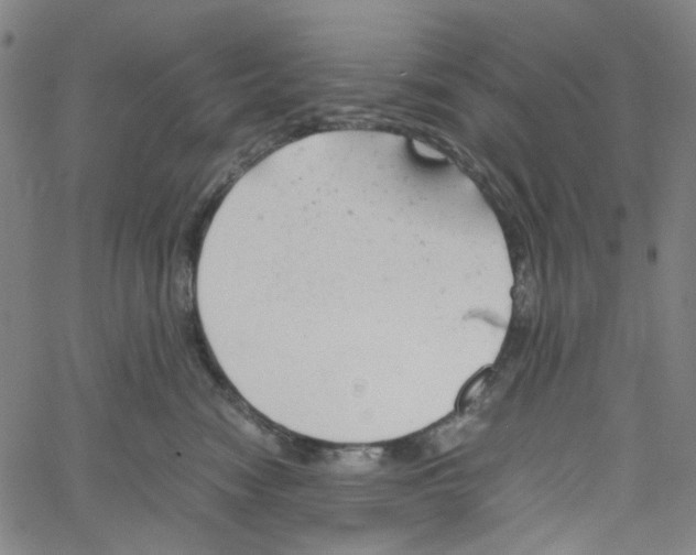 X0000061120474200512161444