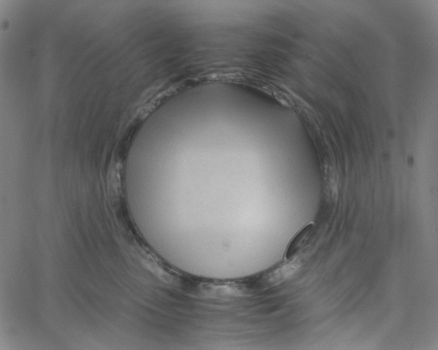 X0000061120475200512161444