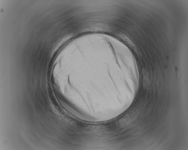 X0000061120482200512161443