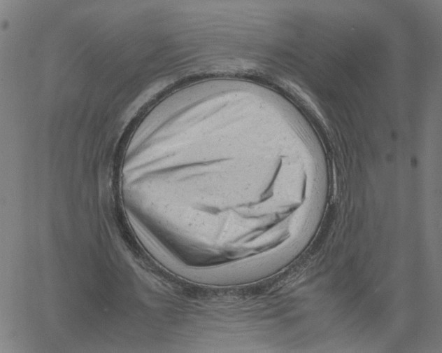 X0000061120483200512161443