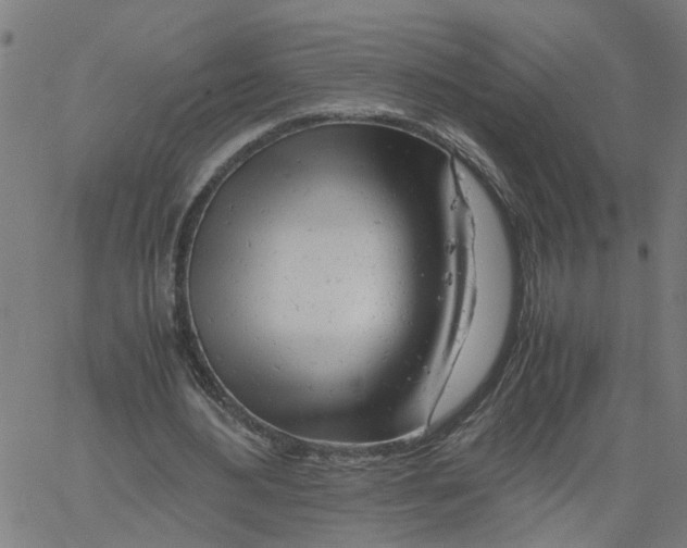 X0000061120484200512161443
