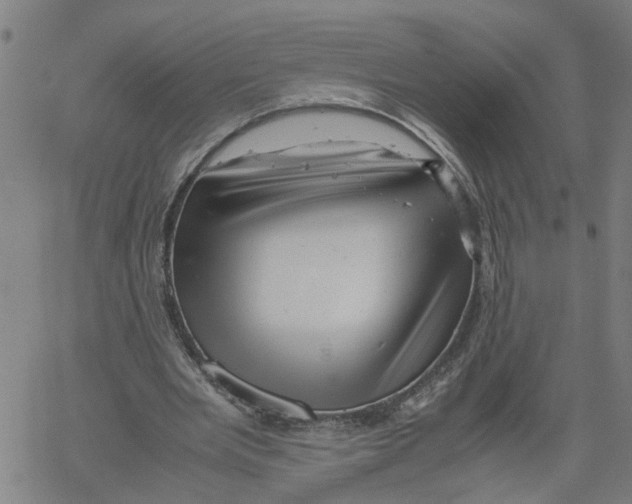 X0000061120485200512161443