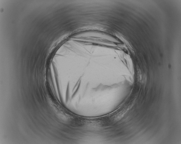 X0000061120486200512161443
