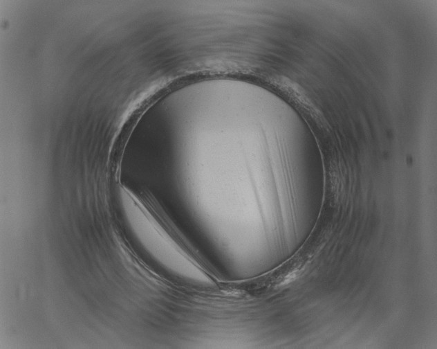X0000061120488200512161443
