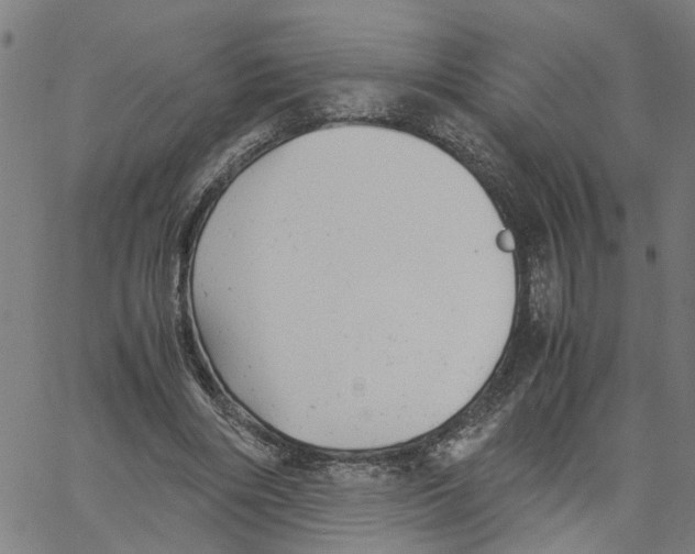 X0000061120490200512161443