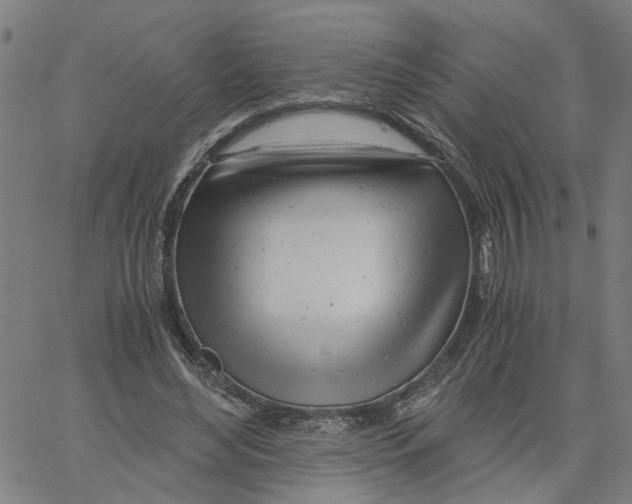 X0000061120492200512161443
