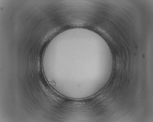 X0000061120494200512161443