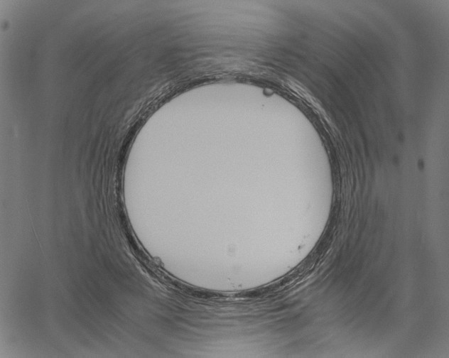 X0000061120497200512161443