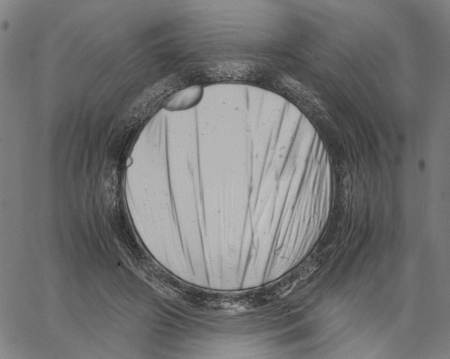 X0000061120498200512161443