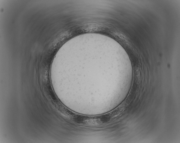 X0000061120499200512161443