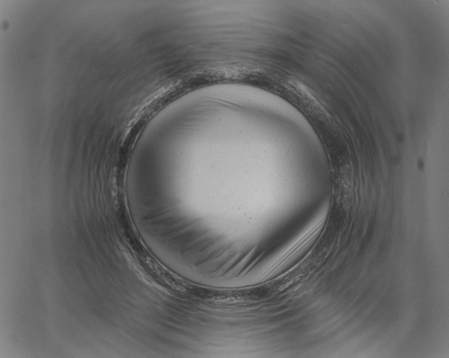 X0000061120500200512161443