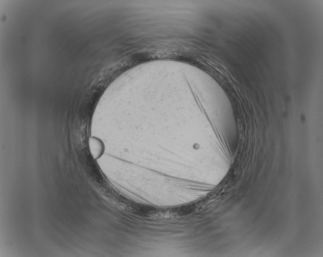 X0000061120503200512161443