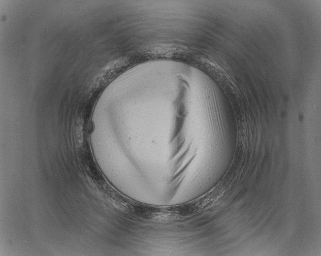X0000061120504200512161443