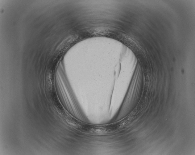 X0000061120506200512161443