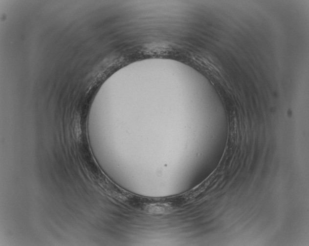 X0000061120508200512161443