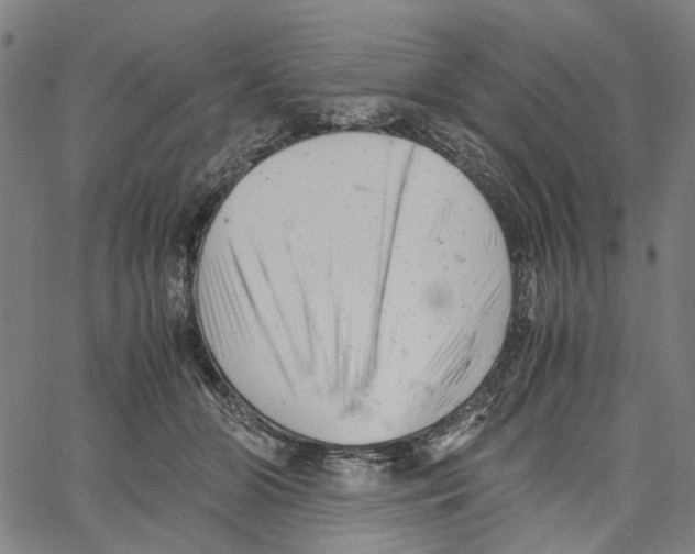 X0000061120510200512161442