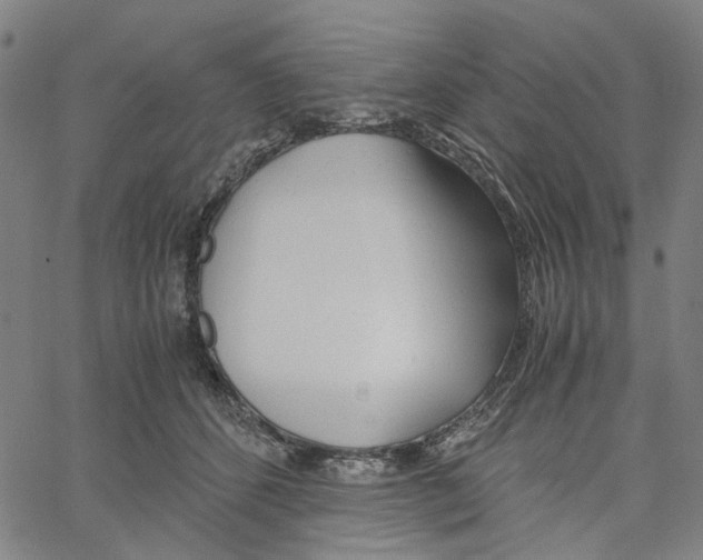 X0000061120512200512161442
