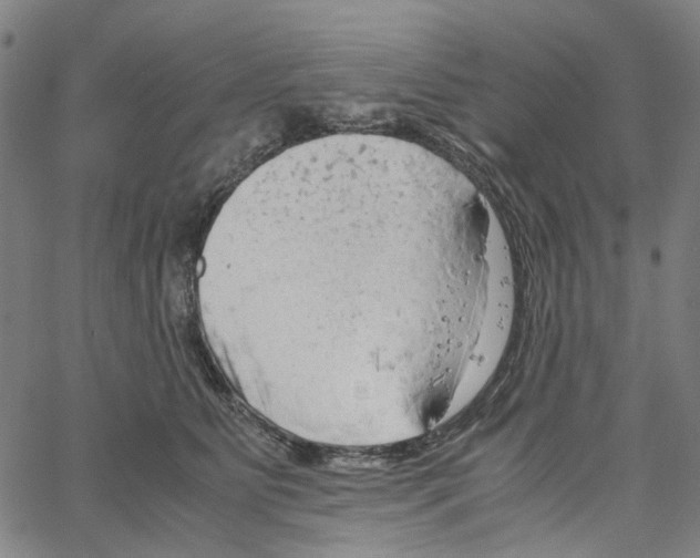 X0000061120515200512161442