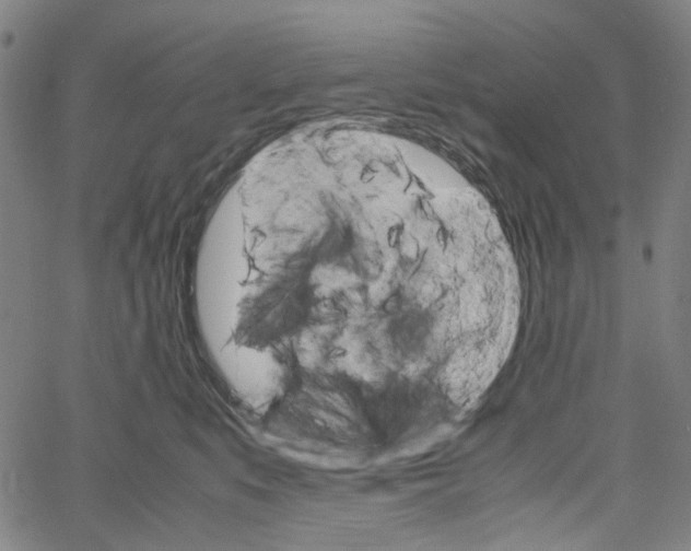 X0000061120519200512161442
