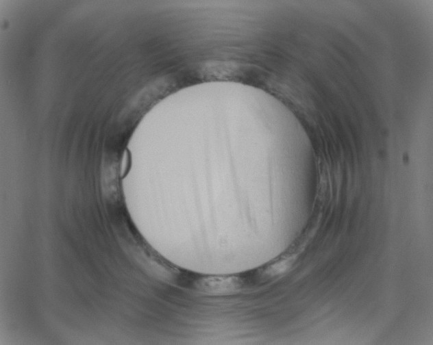 X0000061120526200512161442