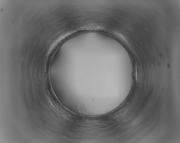 X0000061120531200512161441