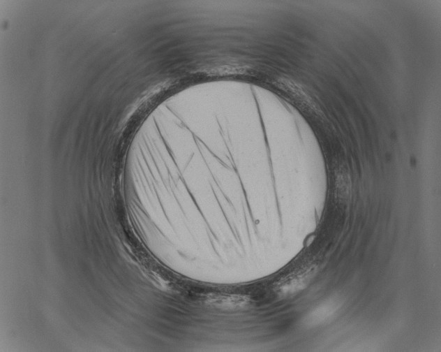X0000061120539200512161442