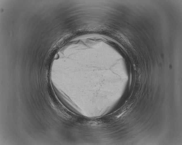 X0000061120542200512161442