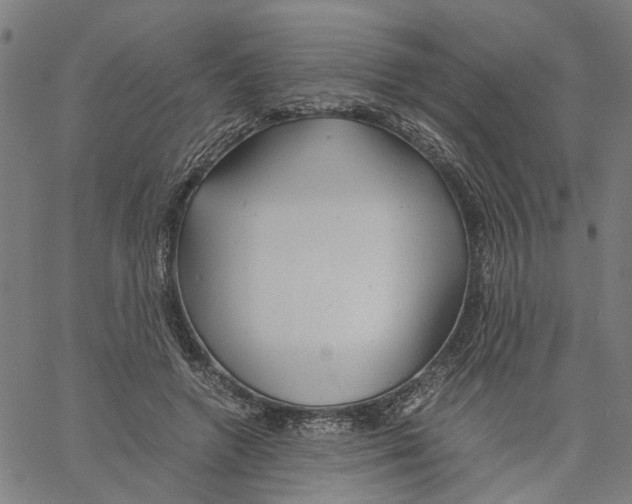 X0000061120546200512161442