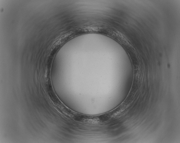 X0000061120548200512161442