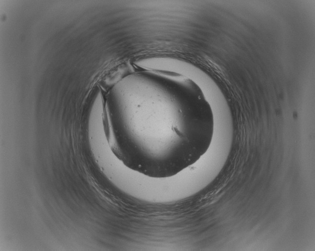 X0000061120552200512161442