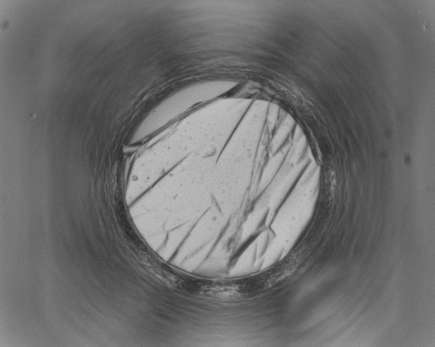 X0000061120554200512161442