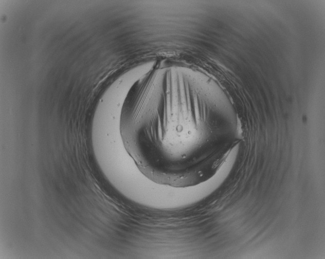 X0000061120556200512161442