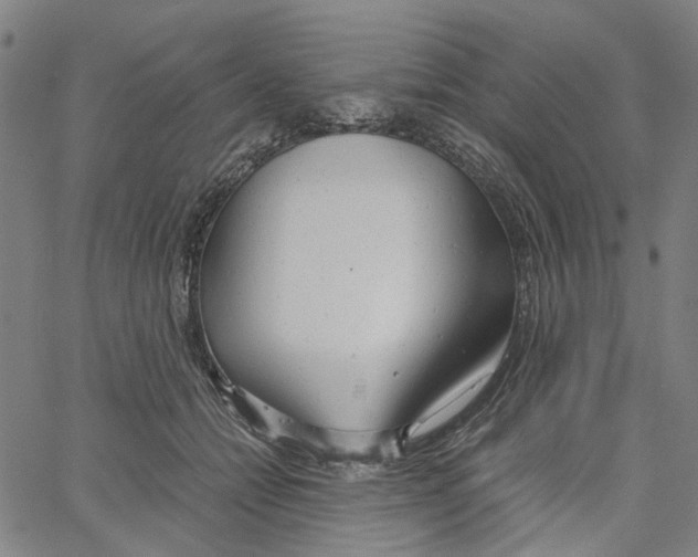X0000061120558200512161442