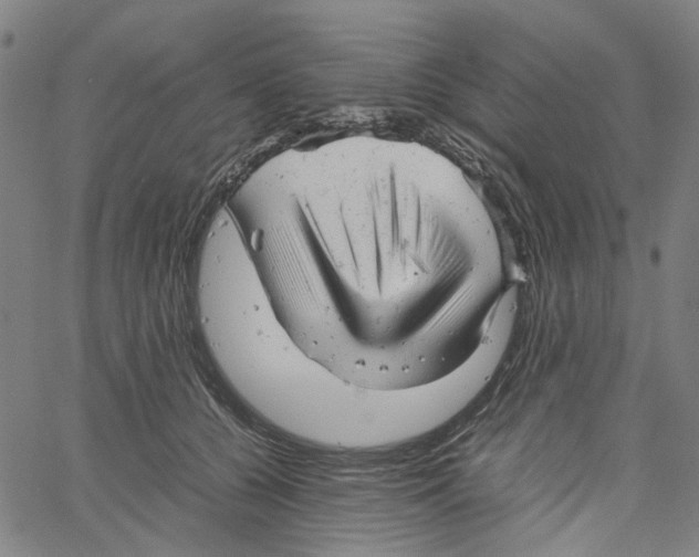 X0000061120560200512161442