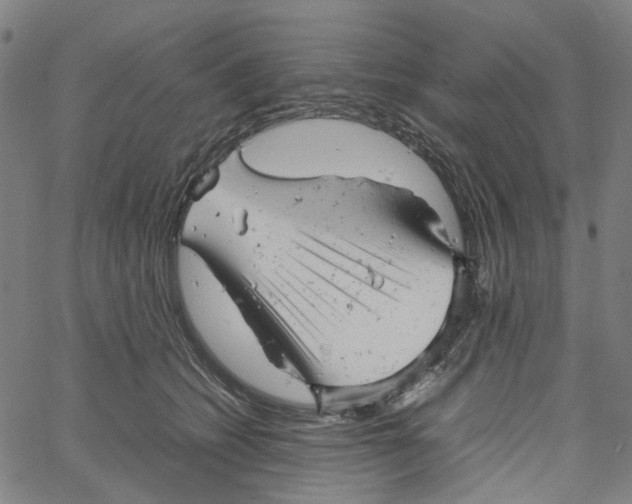 X0000061120562200512161442