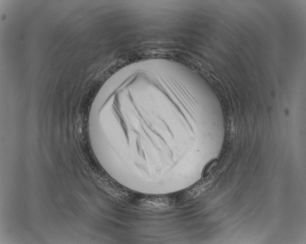 X0000061120567200512161442