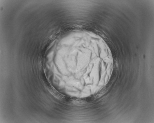 X0000061120568200512161442