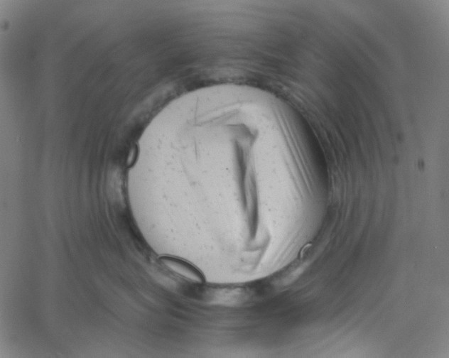 X0000061120575200512161442