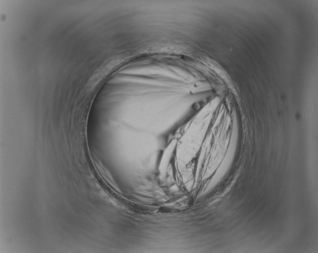 X0000061120577200512161441