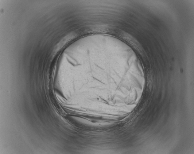 X0000061120578200512161441