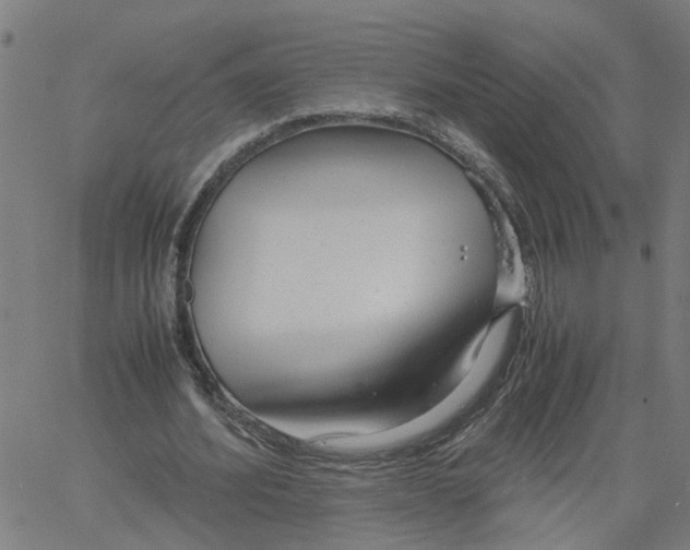 X0000061120580200512161441