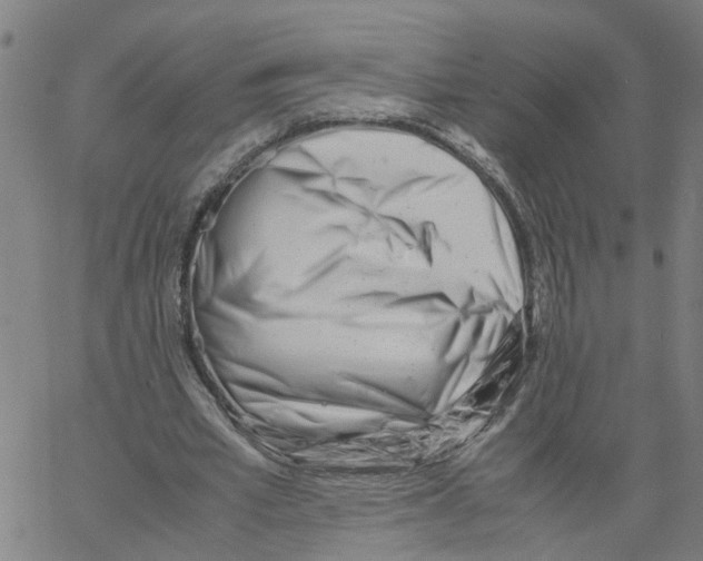 X0000061120581200512161441