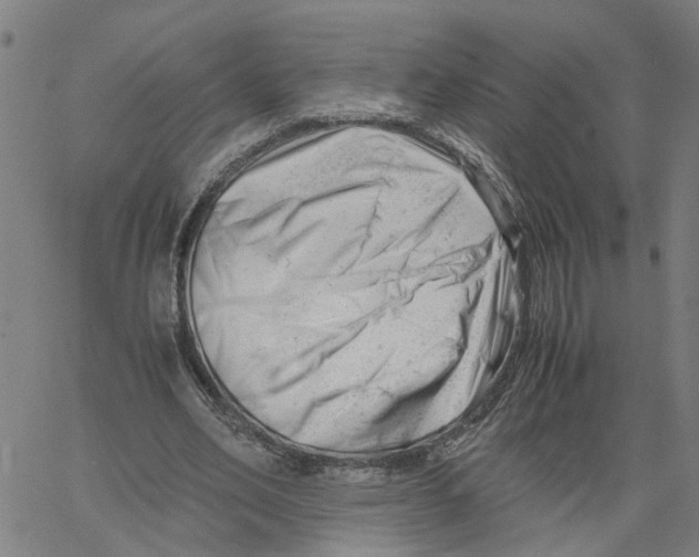 X0000061120582200512161441