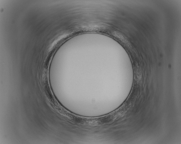 X0000061120583200512161441