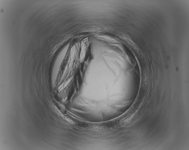 X0000061120585200512161441